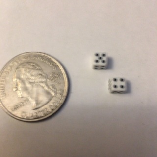 Worlds Smallest Dice Read description before bidding 