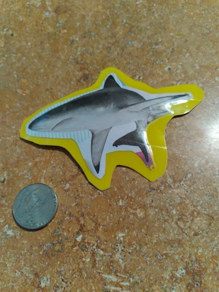 Handmade home made sticker art shark collectible