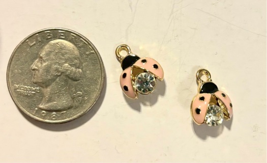 2 pc Lady bugs charms