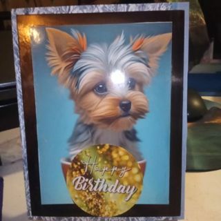 Happy Birthday Yorkshire Terrier -Design Blank Note Card