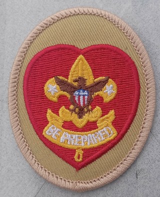 Boy scout scouts bsa Life Rank Patch please read