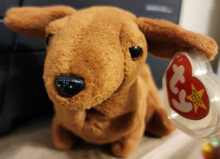 NEW - TY Beanie Baby - "Weenie"