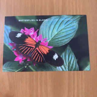 Butterflies in Bloom Post Card 