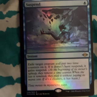 Mtg suspend