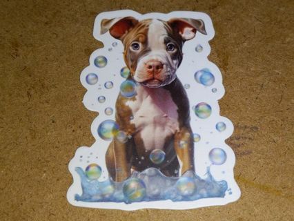 Dog Cute one nice vinyl sticker no refunds regular mail only Very nice quality!