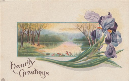 Vintage Unused Postcard: f: Greeting