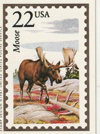 Vintage Wildlife America Collector/Trade Card: Moose