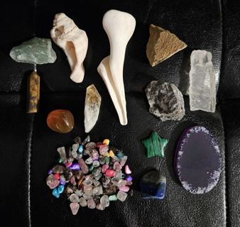 Growing Crystal, Gem, Stone, and Shell Lot!
