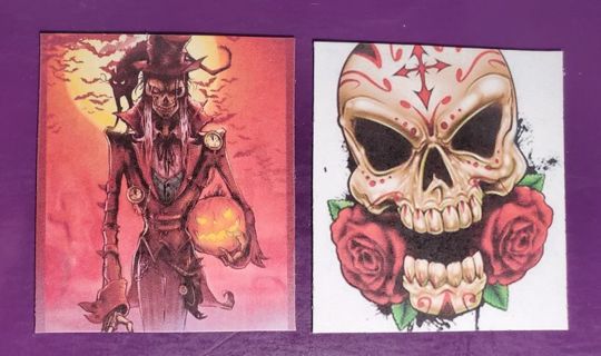 Skull/Skelton Magnets