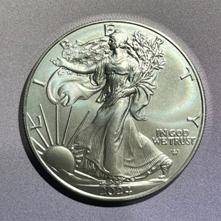 2024 American Silver Eagle 1 oz .999 silver BU