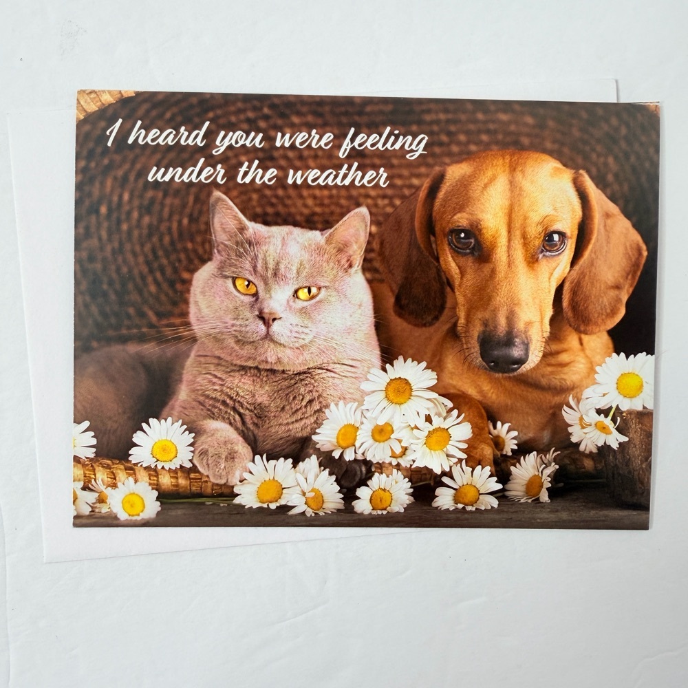 Free: Dog & Cat Feel Better Soon Greeting Card 