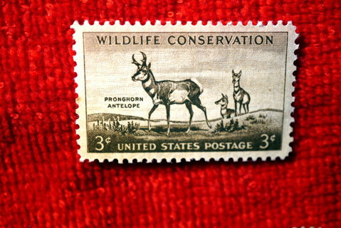 Scotts #1078 MNH/OG 1956 "Buck & Two Does" U.S. Postage Stamp. 