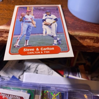 1982 fleer Steve & Carlton baseball card 