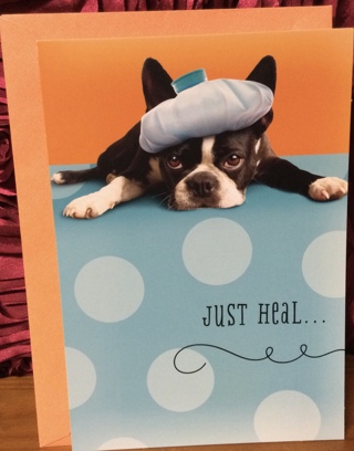 Dog with Ice Pack Get Well Card