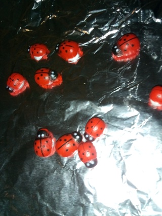 Lady bugs!