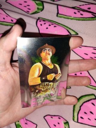 WWE Topps card