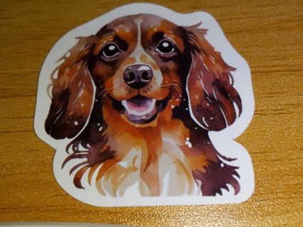 Cute one new nice vinyl lab top sticker no refunds regular mail high quality!