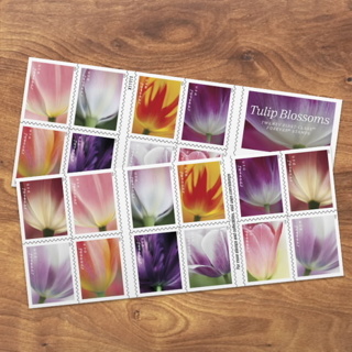 Brand New and perfect for spring: USPS Tulip Blossoms Forever Booklet of 20 Stamps 
