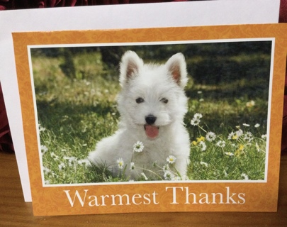 White Puppy Thank You Card