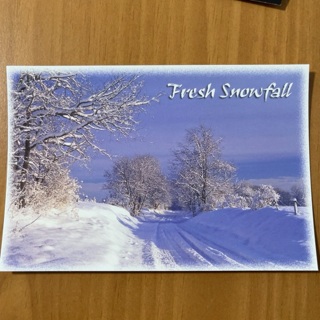 Fresh Snowfal Post Card