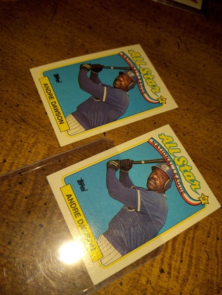 Two Card Lot baseball veteran Andre Dawson