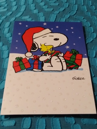 PEANUTS Christmas Card - Best Ever