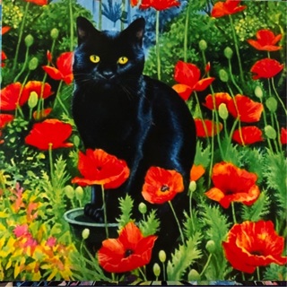Cat with poppies - 3 x 3” MAGNET - GIN ONLY