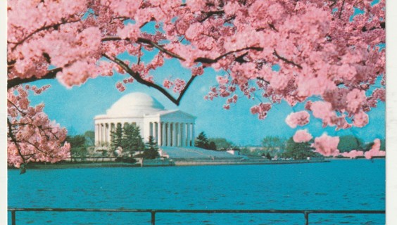 Vintage Used Postcard: B: 1979 Jefferson Memorial, Washington DC