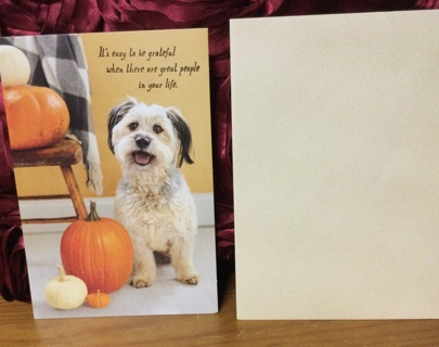 Dog and Pumpkins Thanksgiving Card