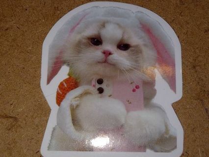 Cat Cute nice vinyl sticker no refunds regular mail Win 2 or more get bonus