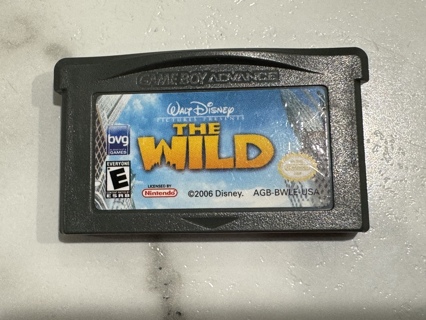 Vintage Nintendo Gameboy The Wild Game