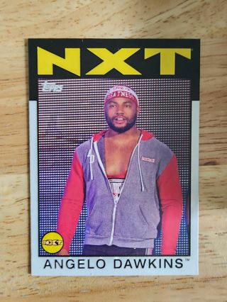 NXT Angelo Dawkins #57