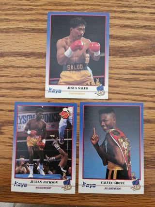 1991 KAYO Boxing trading cards.#209,#210,#212.