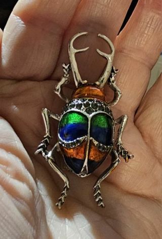 Colorful Beetle Brooch