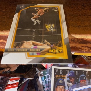 2022 panini NXT WWE seth “freakin” Rollins wrestling card 