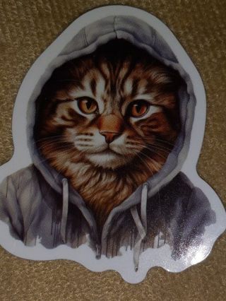 Cat Cute one vinyl sticker no refunds regular mail only Very nice quality!