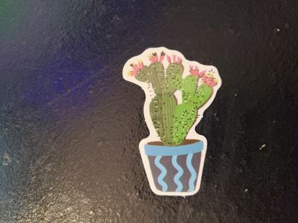 Cactus Sticker # 1