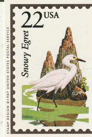 Vintage Wildlife America Collector/Trade Card: Snowy Egret