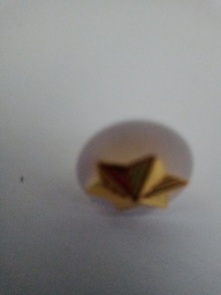 World Association Gold Star Pin Stud