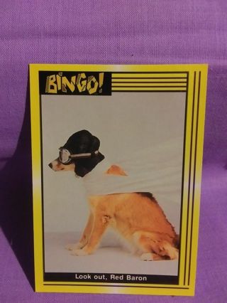 BingoTrading Card #10
