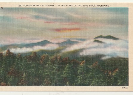 Vintage Unused Postcard: Linen: (NC): North Carolina: Blue Ridge Mountains