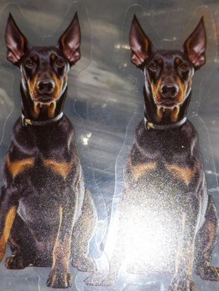 Dog Cool 2 new clear sticker no refunds regular mail win 2 or more get bonus