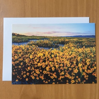 Field of Flowers Note Card 