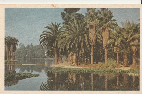 Vintage Unused Postcard: j: Echo Park, Los Angeles, CA