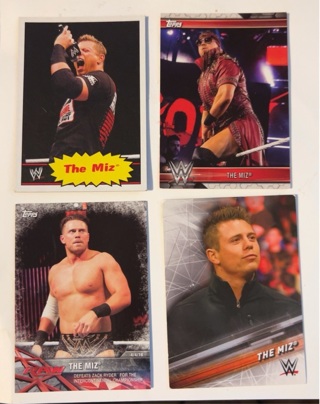 WWE “The Miz” (4)