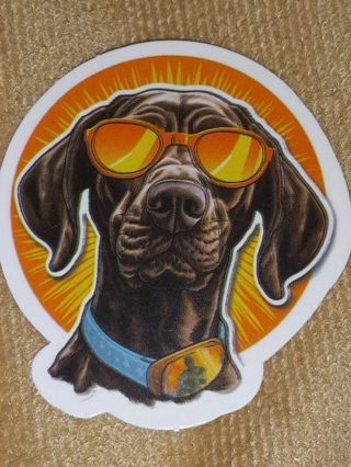 Dog Cute new vinyl sticker no refunds regular mail win 2 or more get bonus