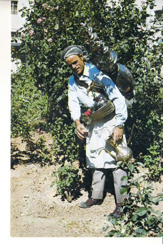 Vintage Postcard selling Holy Water from Jerusalem