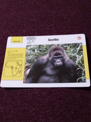 Grolier Story of America Card - Gorilla