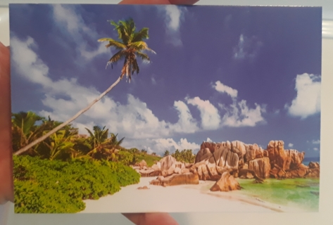 Tropical Beach postcard (blank, unused)