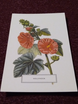 Botanical Postcard - HOLLYHOCK
